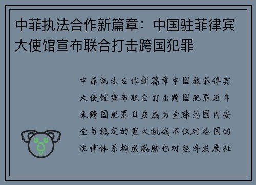 中菲执法合作新篇章：中国驻菲律宾大使馆宣布联合打击跨国犯罪
